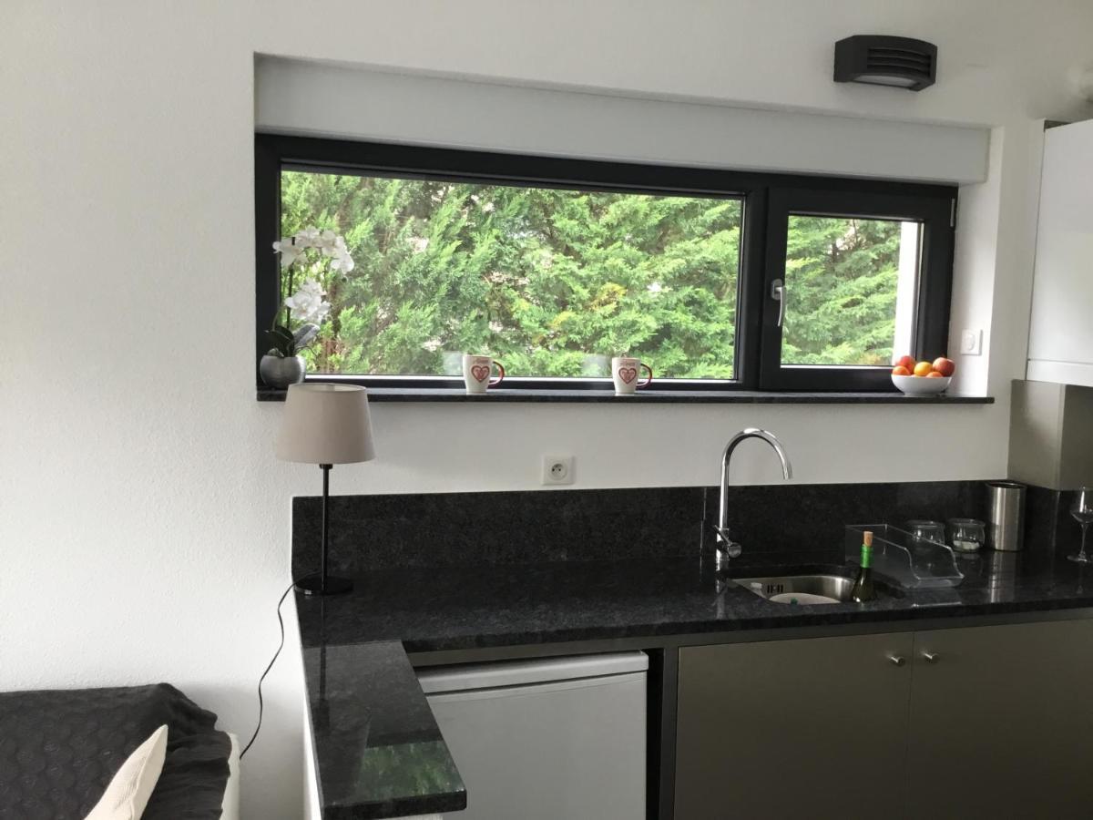 Au Pied Des Vignes Villa Guebwiller Ngoại thất bức ảnh
